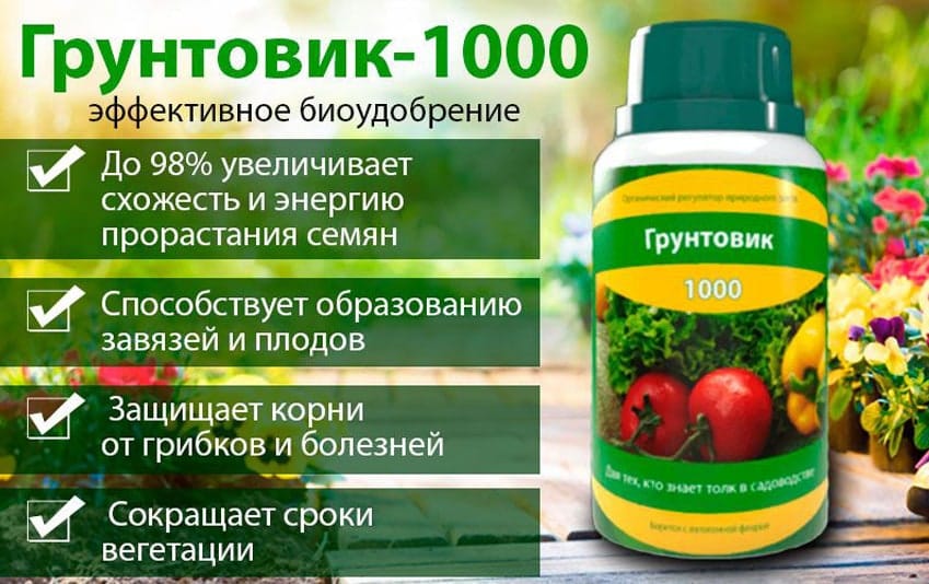 tochka1-png Биостимулятор_грунтовик_1000_мичуринск