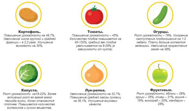 tochka1-png Биостимулятор_грунтовик_1000_козловка