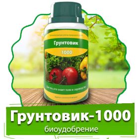 tochka1-png Грунтовик_кто_делает