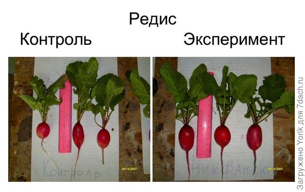 tochka1-png Биостимулятор_грунтовик_1000_канск