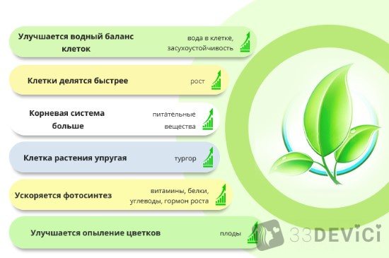 tochka1-png Биостимулятор_грунтовик_1000_светлогорск