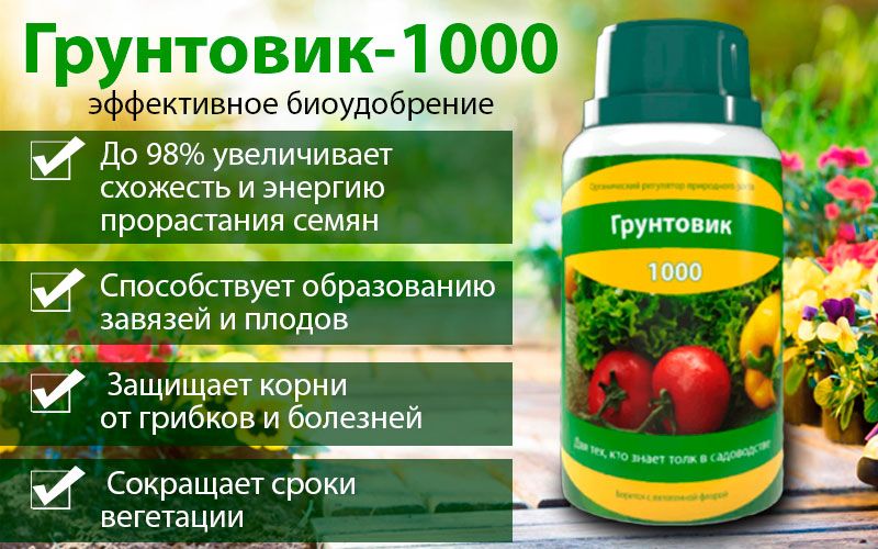 biostimulyator-gruntovik-1000-dc879 Биоудобрение_грунтовик_где_купить